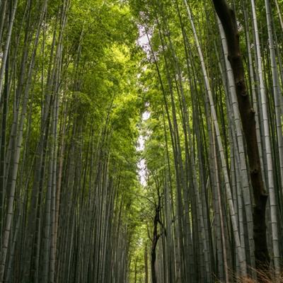 摩托车越野比赛手游下载